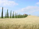2002_06_09 Toscana